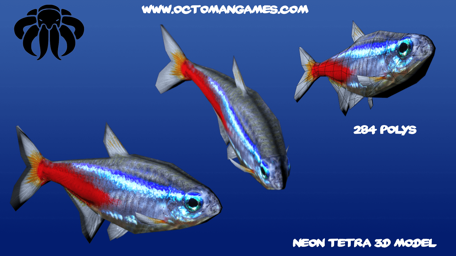 neon tetra fish online